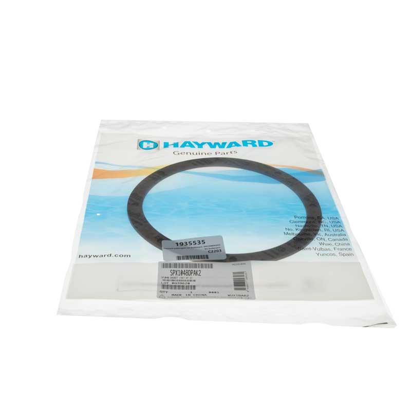 Hayward pakkingset van bodemput - Hayward