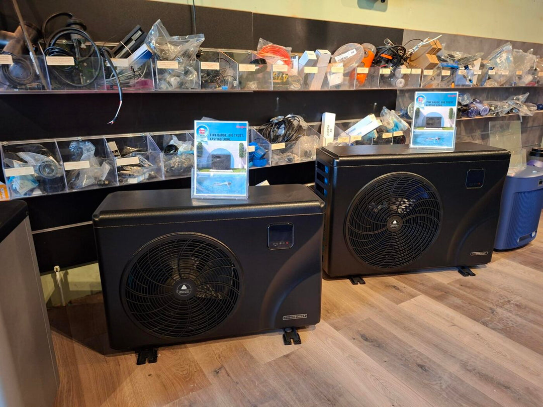 Zwembad-DHZ en Zealux : kom ze bekijken in onze winkel!