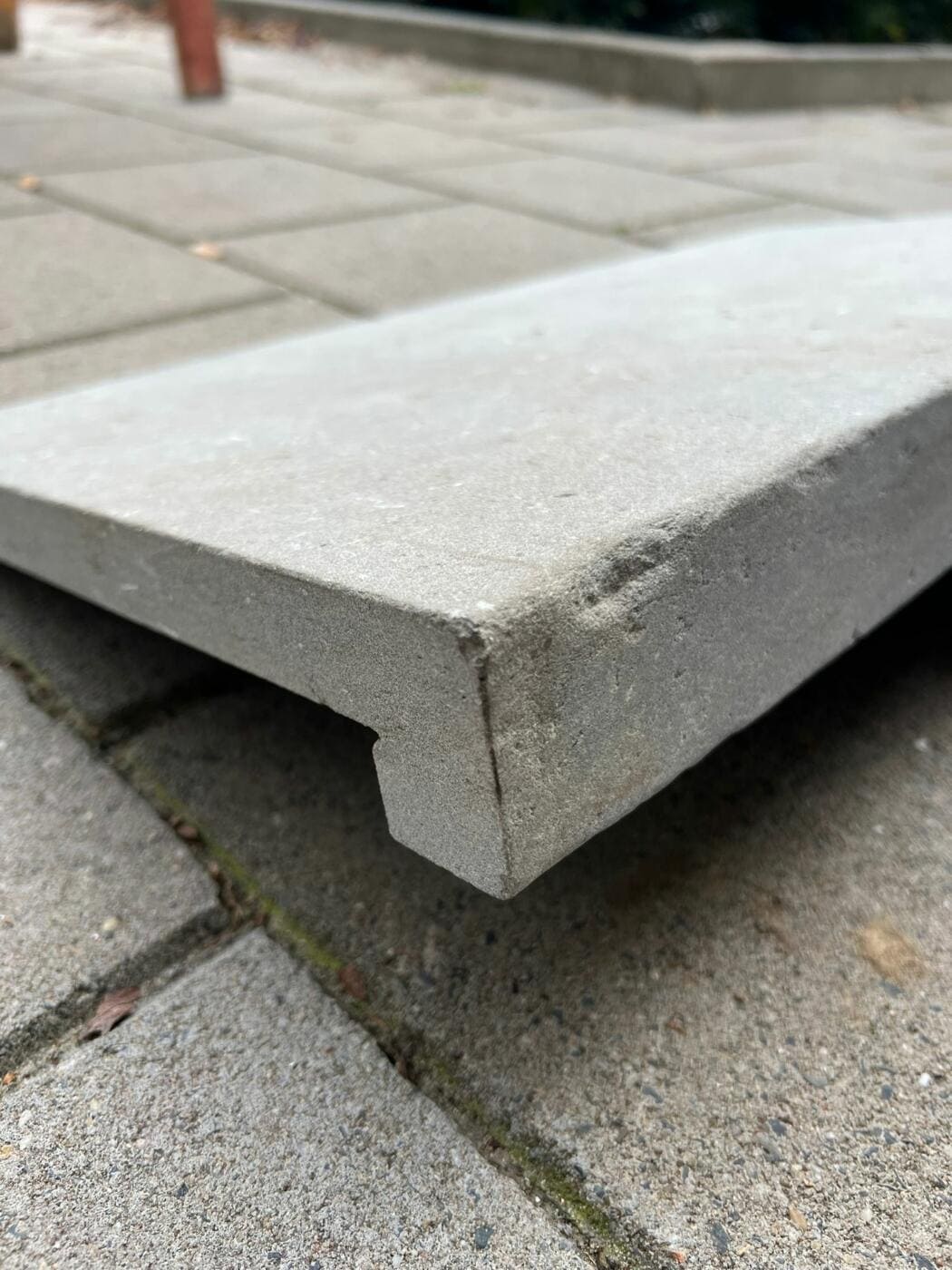 Randsteen Zahra Grey natuursteen rechte neus prijs per stuk - Randsteen