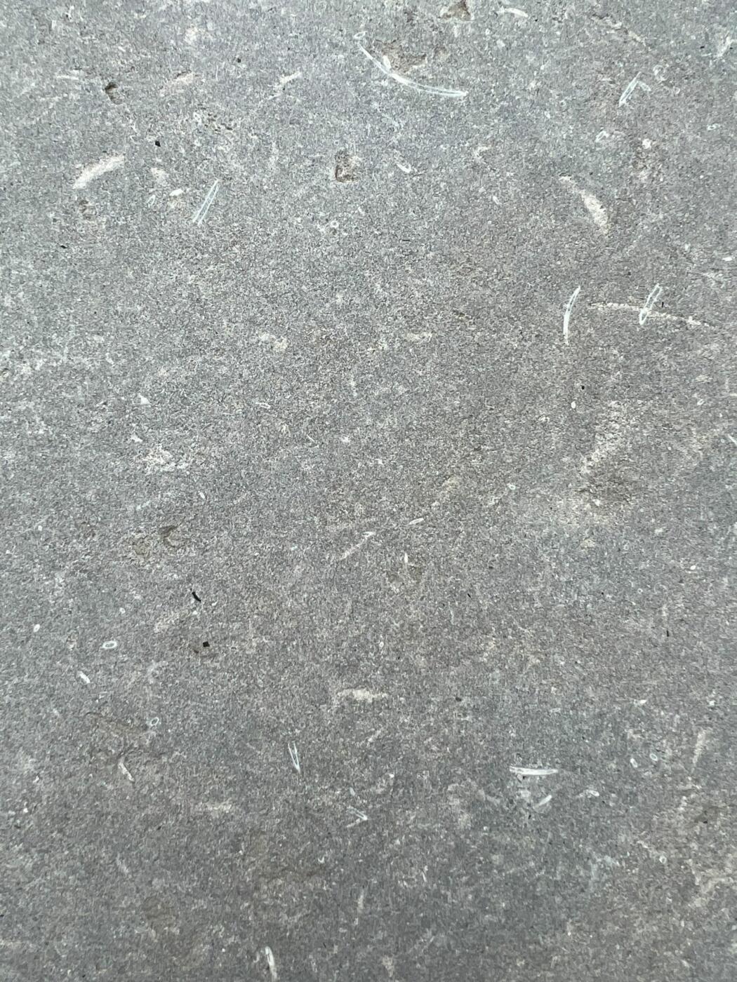 Randsteen Zahra Grey natuursteen rechte neus prijs per stuk - Randsteen