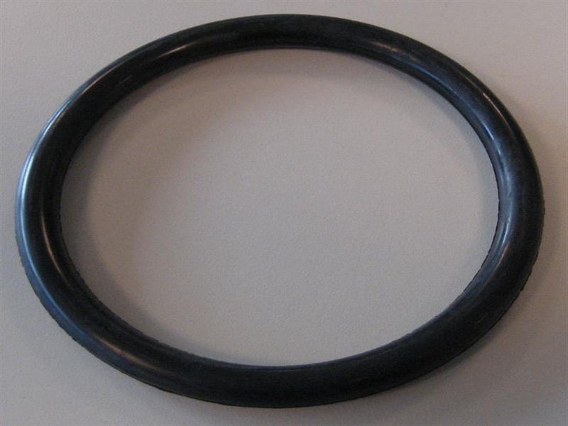 AstralPool O-ring t.b.v. lamp - AstralPool