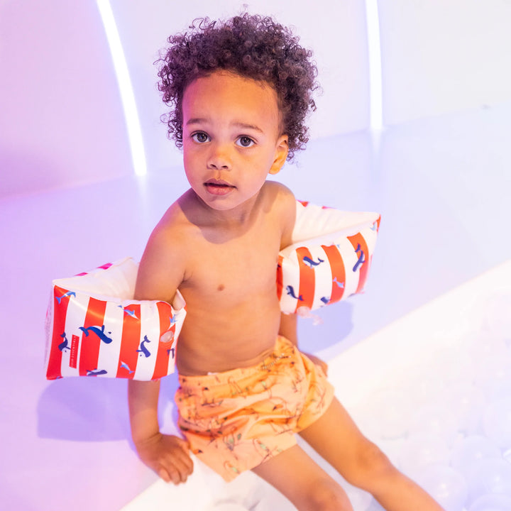 Swim Essentials Zwembandjes Walvissen 2-6 jaar - Swim Essentials